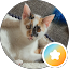 Zoë Avatar